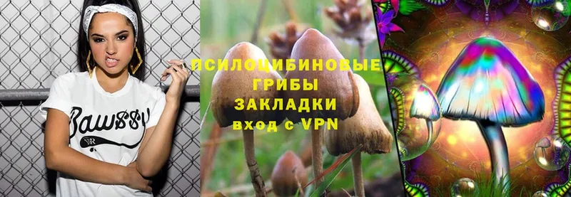 Псилоцибиновые грибы GOLDEN TEACHER  где купить   Белая Холуница 